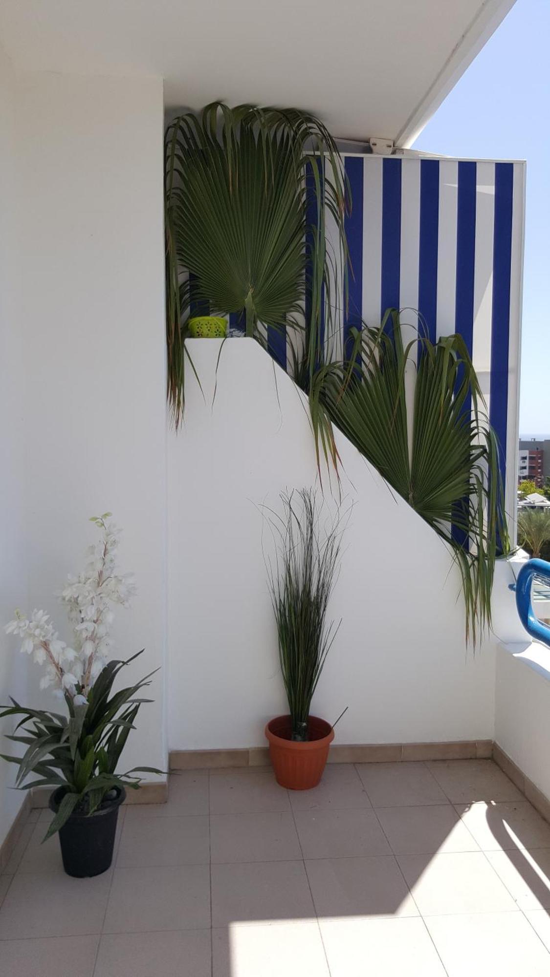 Paraiso Del Sur Playa Paraiso  Kültér fotó